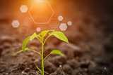 Ethylene amines and ethanolamines  are key building blocks for agriculture, among other industries