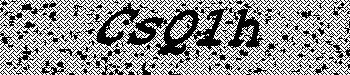 An error has occurred while getting captcha image
