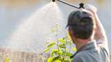 MCA is used to manufacture agrochemicals, surfactants, CMC, and more.