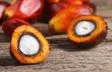 Nouryon's responsible usage of palm oil