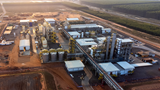 Plant Ribas Brazil